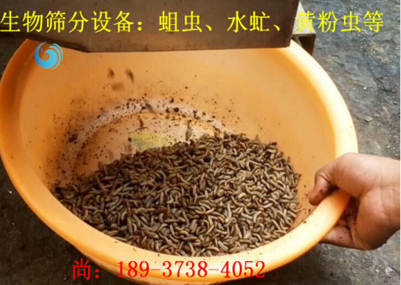 蛆虫筛选3层辣椒视频APP免费下载版